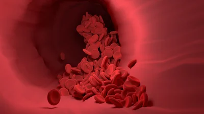 des globules rouges
